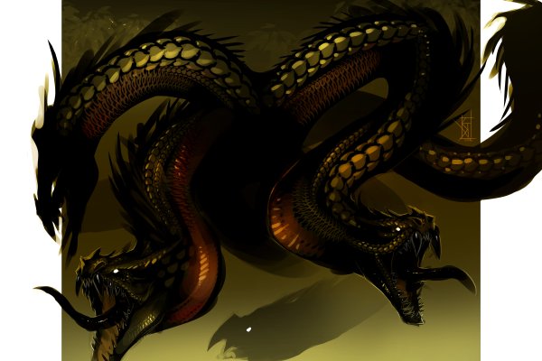 Hydra kraken