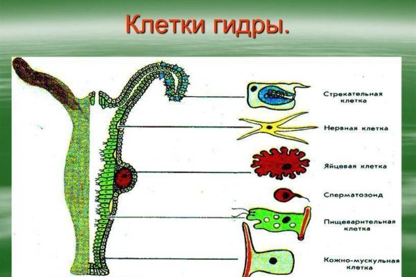 Кракен маркет только через тор